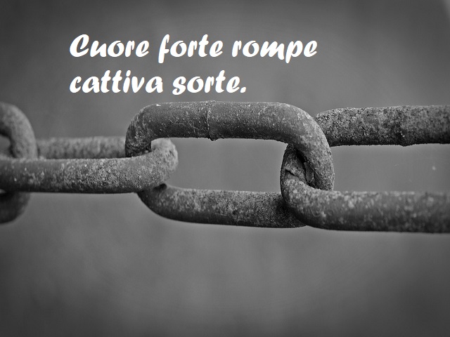 frasi forza di volontà