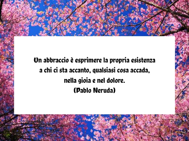 abbraccio 15