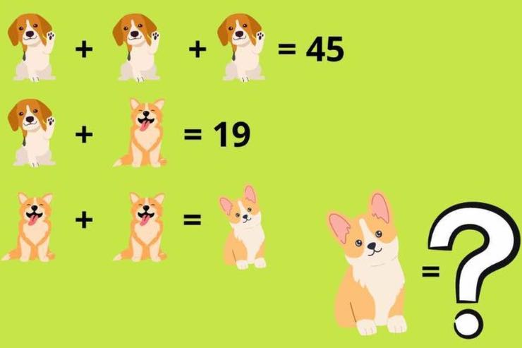 Test intelligenza scoprire davvero genio impossibile