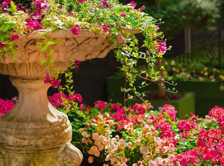 Giardino