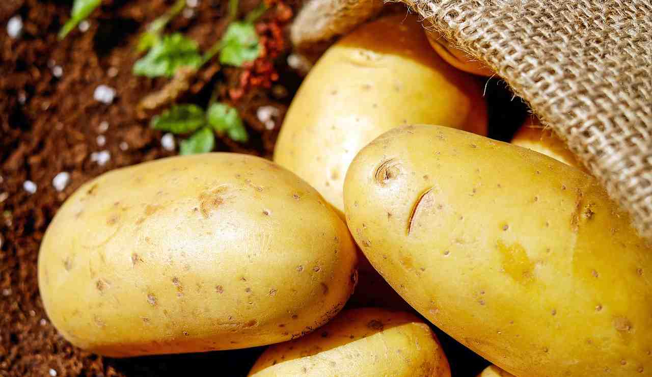La scelta delle patate (Pixabay foto) - www.aforismicitazioni.it