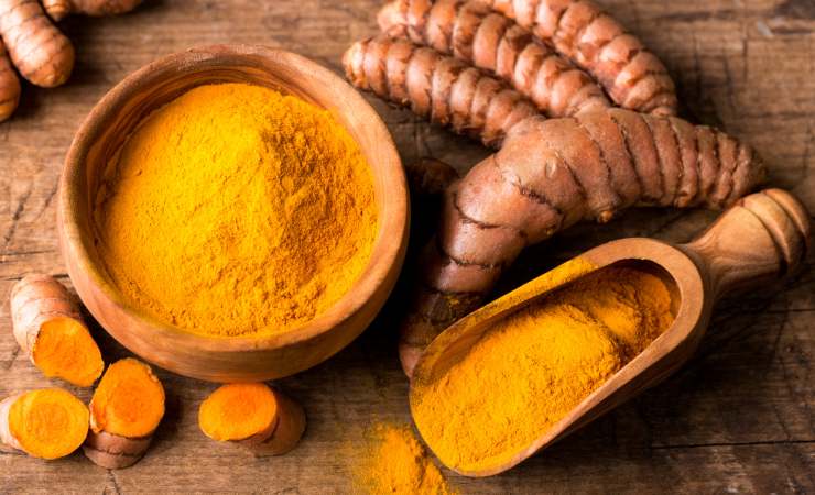 Curcuma