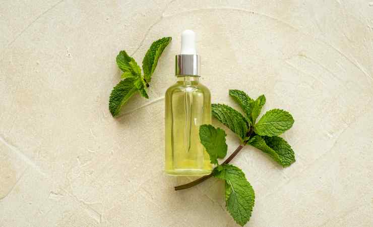 Olio basilico