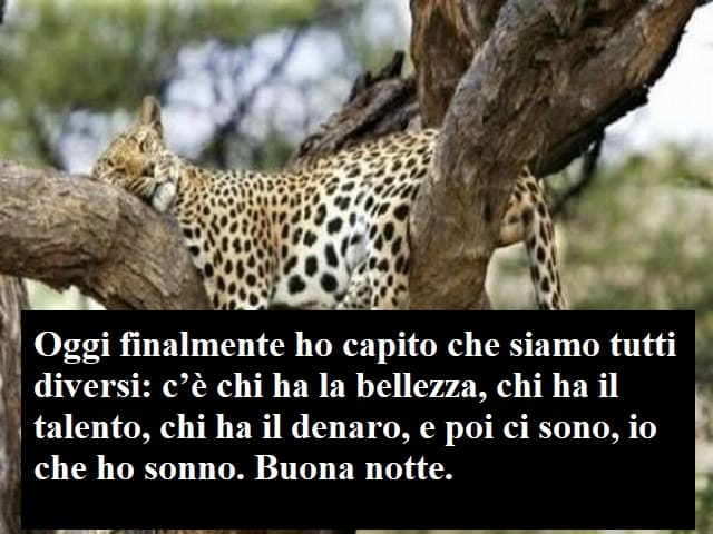 buonanotte immagini divertenti