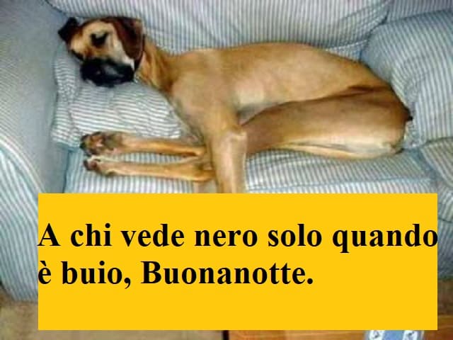 Buonanotte: 150 immagini d'autore, divertenti e belle da ...