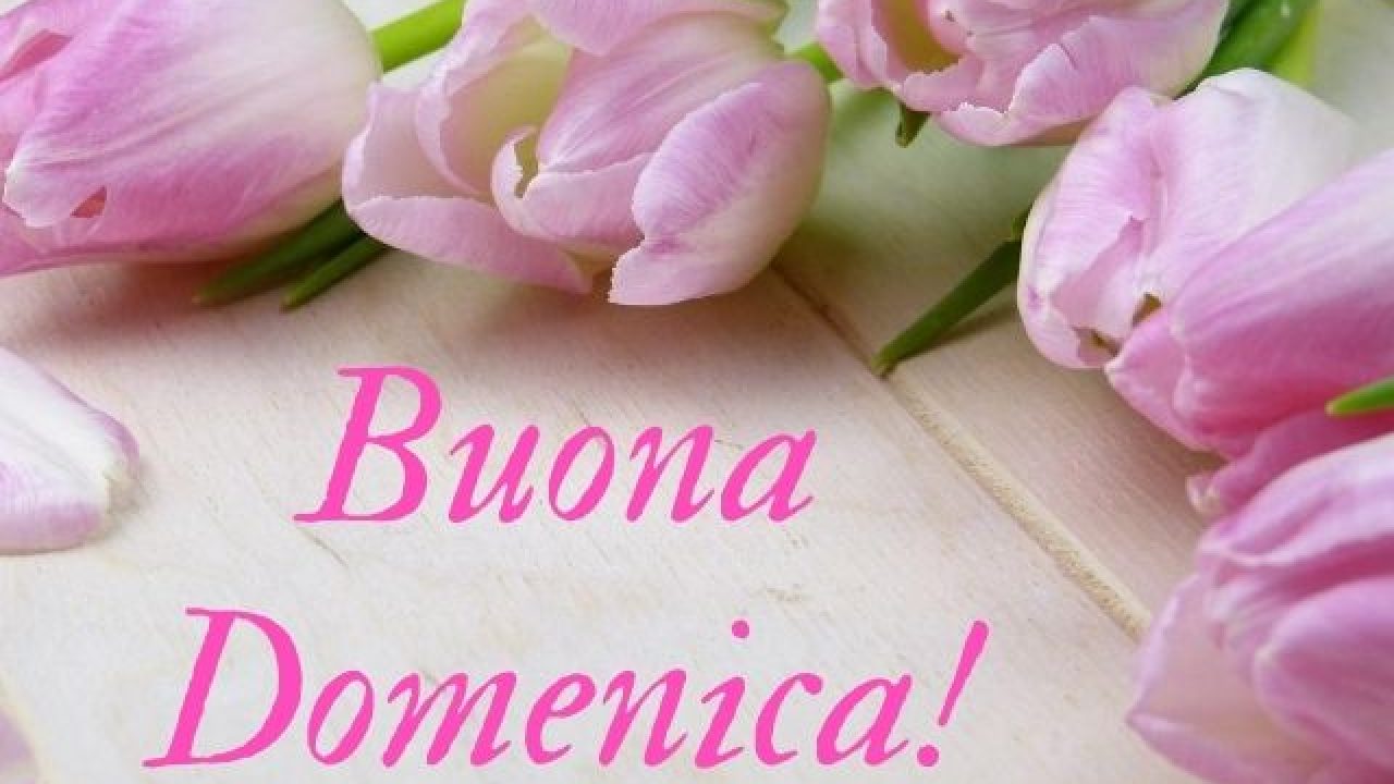 Buona Domenica 192 Immagini E Frasi Da Inviare A Chi Vuoi Bene Aforismi E Citazioni