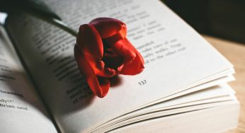 Frasi celebri: 335 aforismi e immagini dedicate alla vita, ai sentimenti e alle passioni