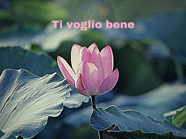 frasi bene