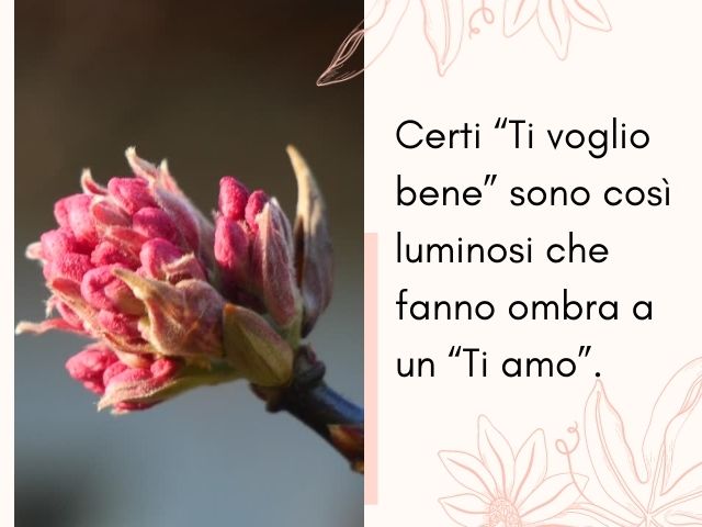 Frasi di Ti Voglio Bene: 134 pensieri e immagini, per esprimere