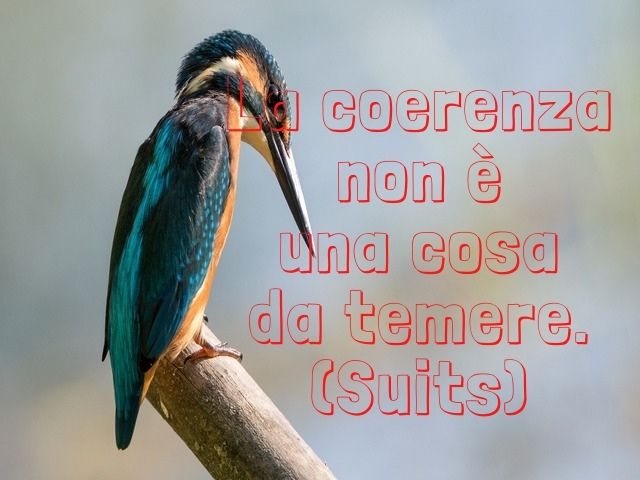 coerenza 6