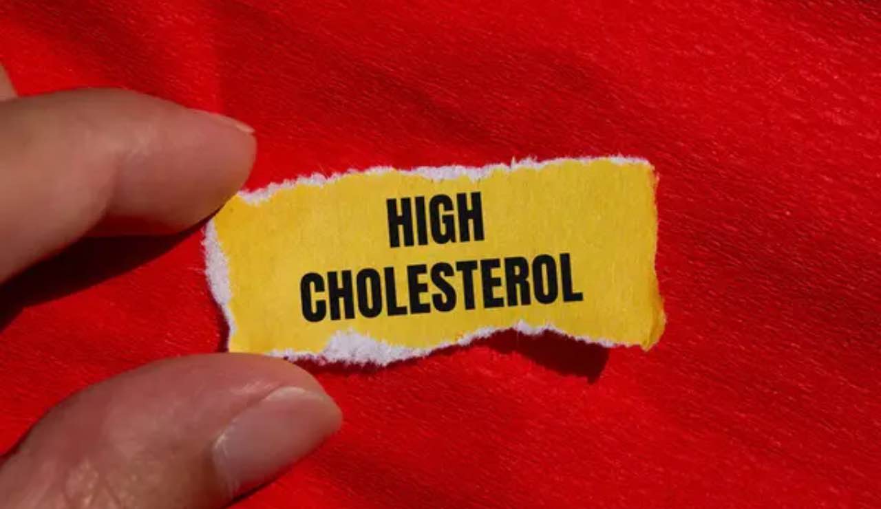 Colesterolo alto