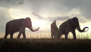 Mammut estinzione annullata tornati scienziati salvati