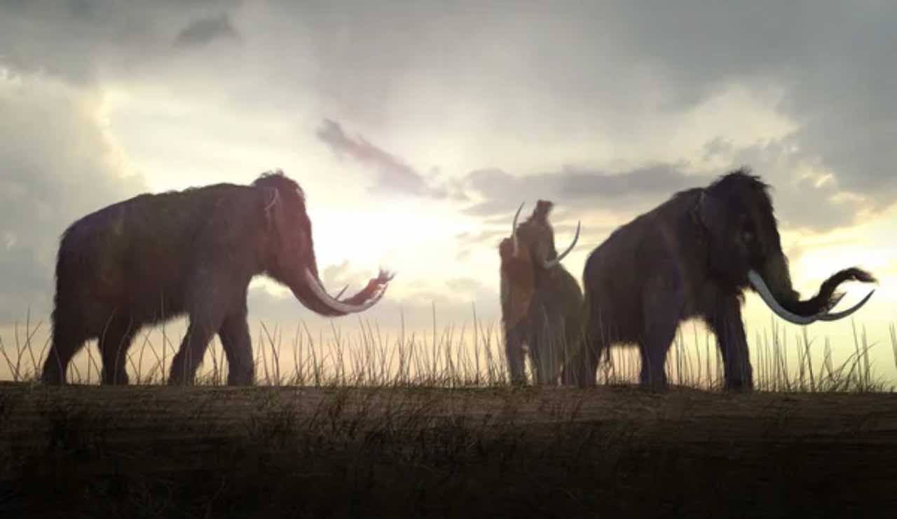 Mammut estinzione annullata tornati scienziati salvati