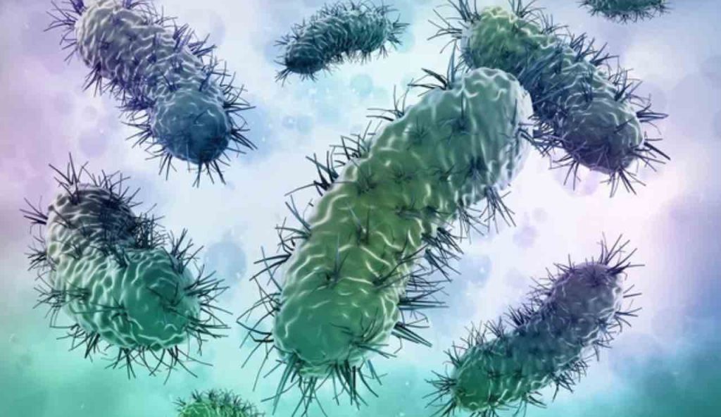 Allarme globale resistente tutti antibiotici morti