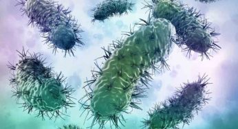 Allarme globale | Questo batterio è resistente a tutti gli antibiotici: 700.000 morti in un solo anno