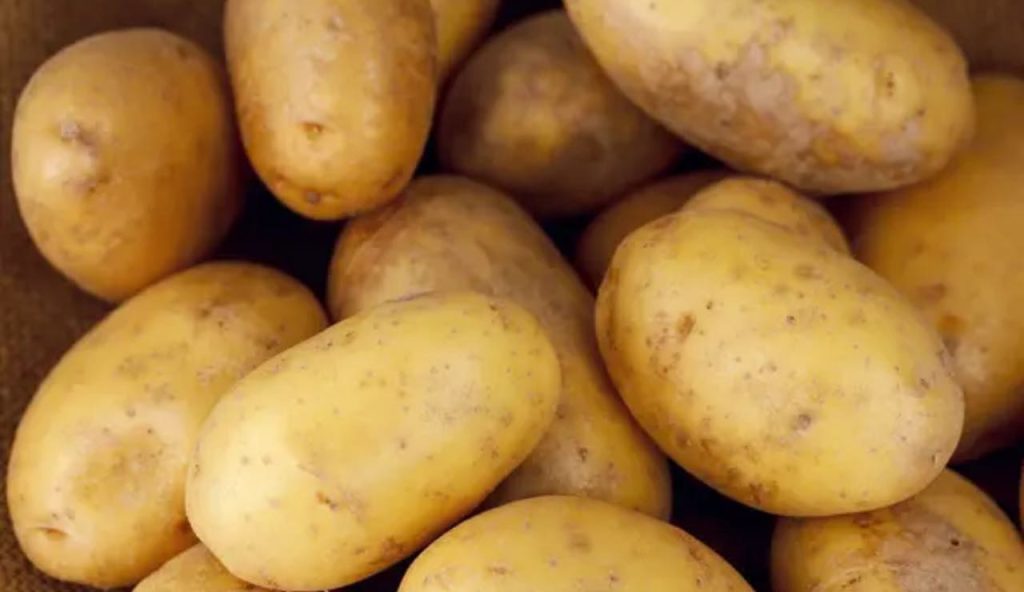 Patate