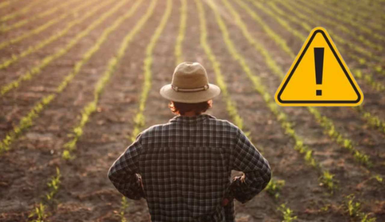 Agricoltura (Depositphotos foto) - www.aforismicitazioni.it