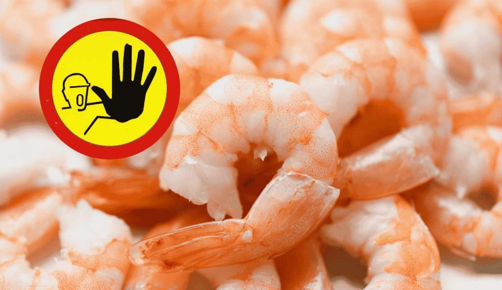 Non metterli per nessun motivo nella tua insalata: il Ministero della Salute ha ritirato questi gamberetti | Finisci intossicato