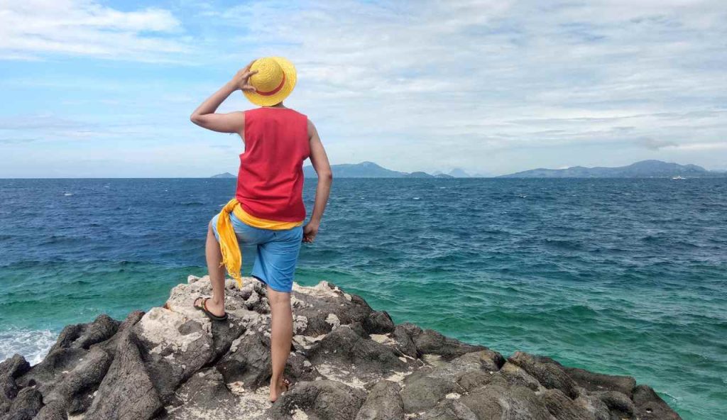 I momenti chiave di One Piece: cosa guardare per capire la trama principale