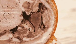 porchetta ritaglio