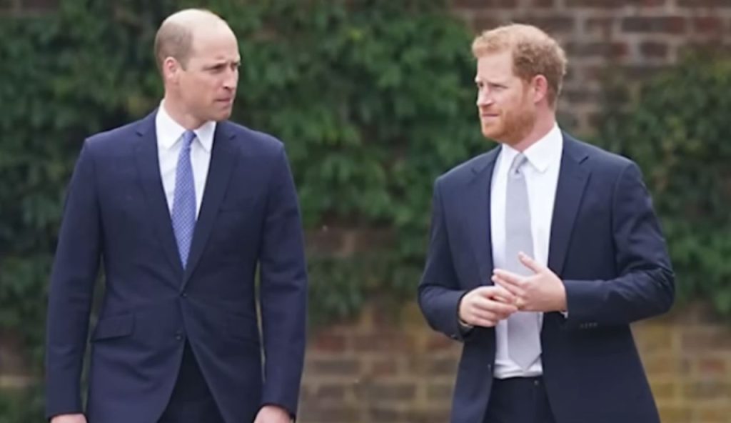 William e Harry (E news - youtube screenshot) - www.aforismicitazioni.it