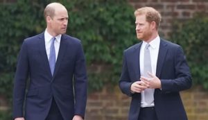 William e Harry (E news - youtube screenshot) - www.aforismicitazioni.it